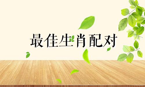 最佳生肖配对 十二生肖的最佳伴侣