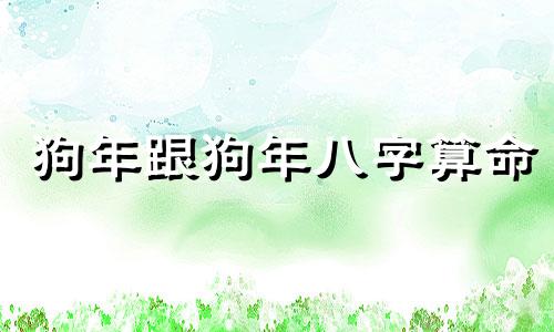 狗年跟狗年八字算命 70狗和82狗婚配好吗,70属狗跟82属狗的婚配吗