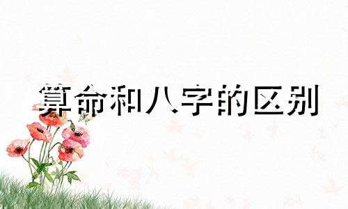 算命和八字的区别 紫微星盘算命与八字算命的区别