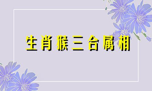 生肖猴三合属相 猴的三合和六个合生肖是什么