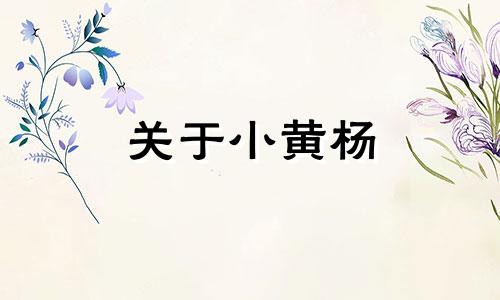 关于小黄杨 黄杨木种植在院子里的风水忌讳有哪些？