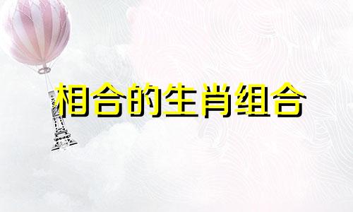 相合的生肖组合 最匹配的十二生肖配对，哪些生肖之间最为和谐。