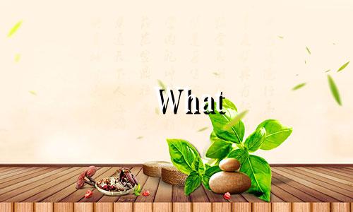 What are the most suitable English names for each of the twelve zodiac signs?  The English names of the zodiac signs, which one