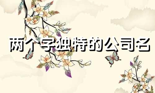 两个字独特的公司名 两个字的公司名称大全