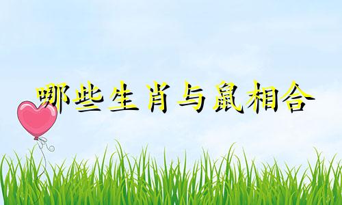 哪些生肖与鼠相合