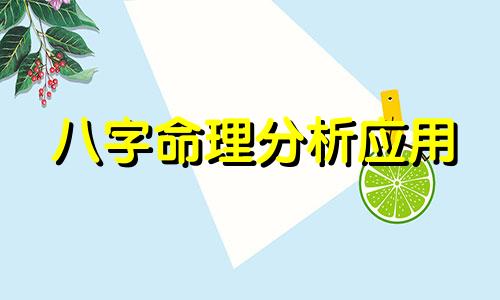 八字命理分析应用 奇门遁甲排盘工具