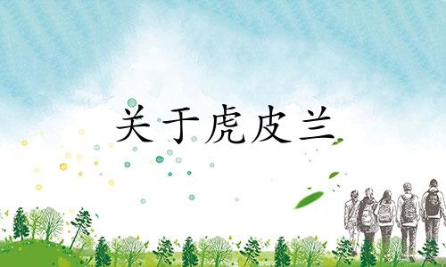 关于虎皮兰 又称虎尾兰的摆放，在风水学中有一些讲究和忌讳。以下是一些建议和禁忌：