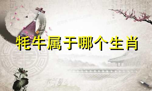 牦牛属于哪个生肖 落地生根常指哪个生肖