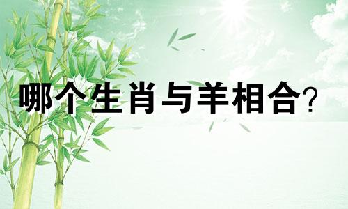 哪个生肖与羊相合？