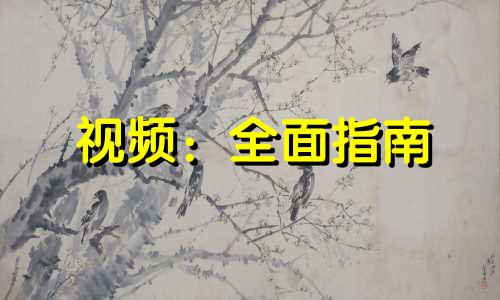 视频：全面指南 - 搬家时需遵守的民间风水忌讳