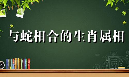 与蛇相合的生肖属相 哪些属相与属蛇最为匹配