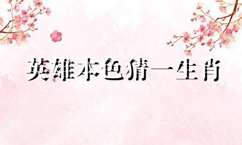 英雄本色猜一生肖