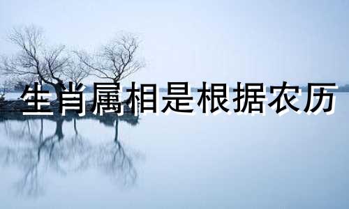 生肖属相是根据农历 阴历来确定的。