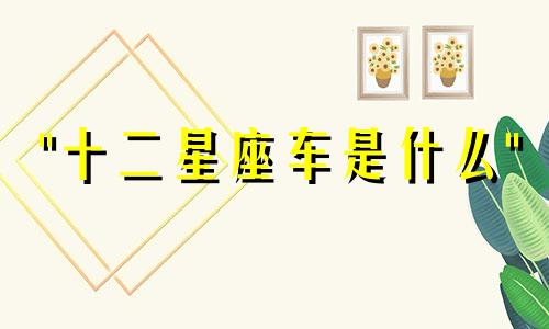 "十二星座车是什么" 这句话可以改写为：- 各个星座适合驾驶的车型是什么？- 十二星座成年