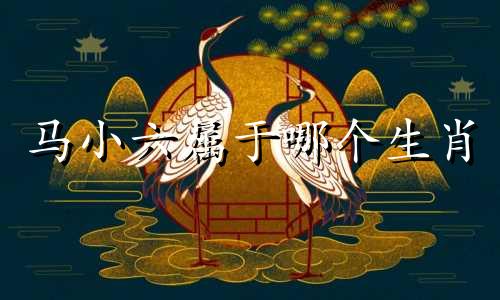 马小六属于哪个生肖 在十二生肖中，哪些是大肖，哪些是小肖？