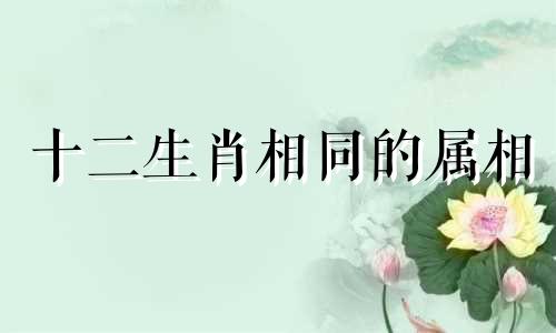 十二生肖相同的属相 相同属相的人在一起是否合适