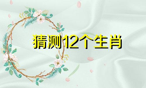 猜测12个生肖