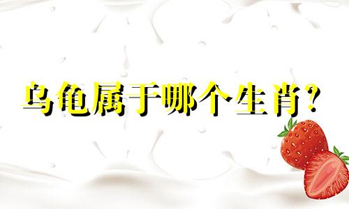 乌龟属于哪个生肖？