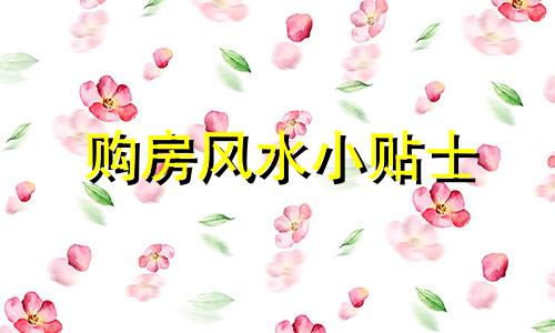 购房风水小贴士 住宅风水原则