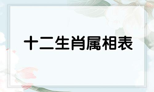 十二生肖属相表 年份