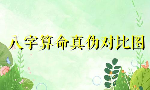 八字算命真伪对比图 天干地支与五行阴阳属性对照表