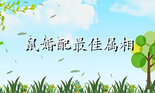 鼠婚配最佳属相 12生肖婚配表