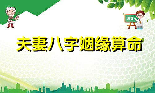 夫妻八字姻缘算命 生辰八字配对合婚的改写版本可以是：基于生辰八字的夫妻姻缘匹配