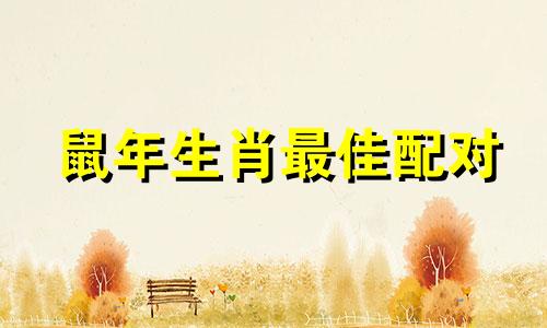 鼠年生肖最佳配对