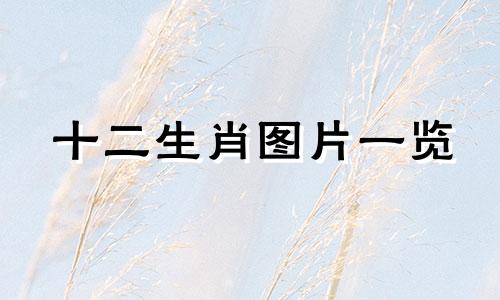 十二生肖图片一览 如何绘制十二生肖的图像