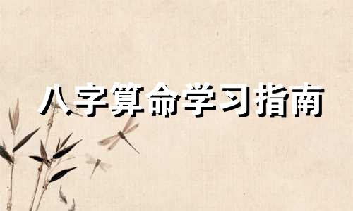八字算命学习指南 掌握算命艺术的方法