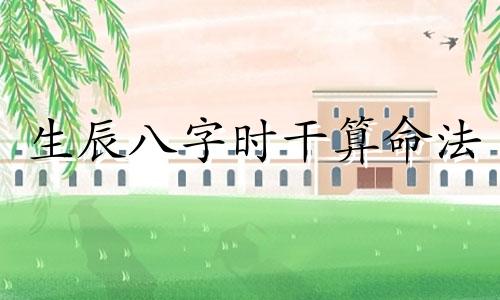 生辰八字时干算命法