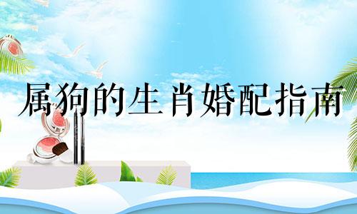 属狗的生肖婚配指南 最佳生肖配对表，适合与属狗人相配的生肖