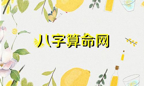 八字算命网 算网八字预测准确度如何