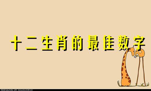 十二生肖的最佳数字 十二生肖代表哪些数字
