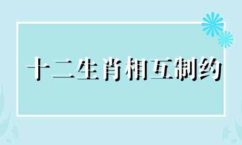 十二生肖相互制约 十二生肖的相生相克大全表