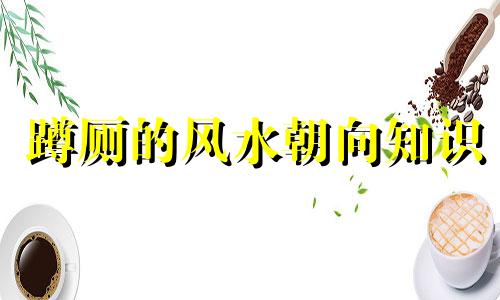 蹲厕的风水朝向知识