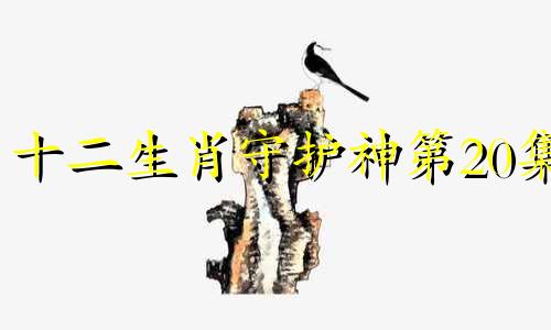 十二生肖守护神第20集 十二生肖守护神全集txt下载
